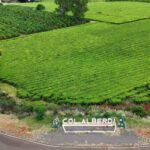 WhatsApp Image 2026-02-10 at 10.37.36 (1)