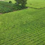 WhatsApp Image 2026-02-10 at 10.37.37